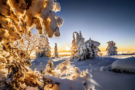 72508 Winter Hd Nature Snow Landscape Sun Sunbeam Rare Gallery