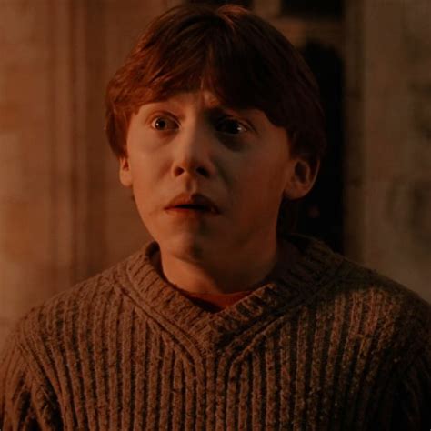 Ron Weasley Icon Ron Weasley Ronald Weasley Ron And Hermione
