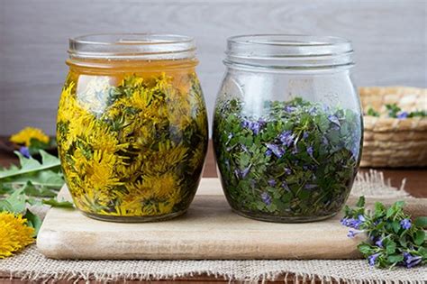 How long will they really last? How Long Do Dried Herbs, Ointments, Syrups and Tinctures ...