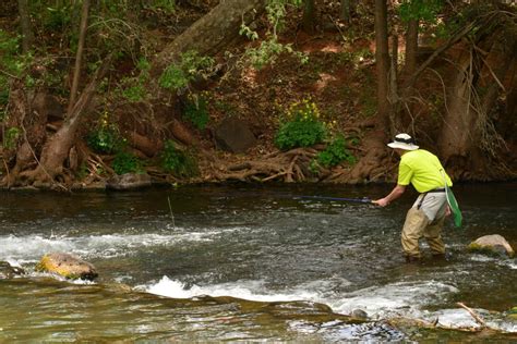 Best Trout Fishing Rivers In Arizona All About Fishing