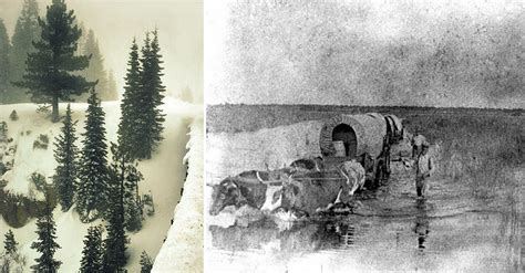 what really happened to the donner party dusty old thing