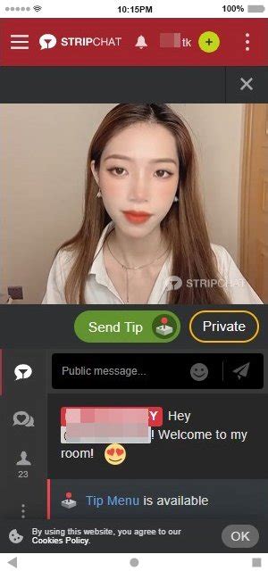 Stripchat Review Private Cam2cam For Connoisseurs