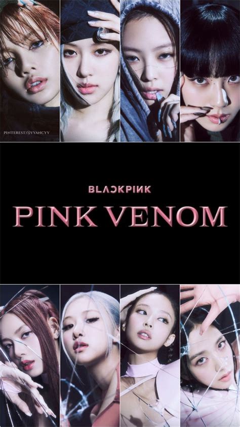 Blackpink Born Pink Pink Venom Wallpaper Kızlar