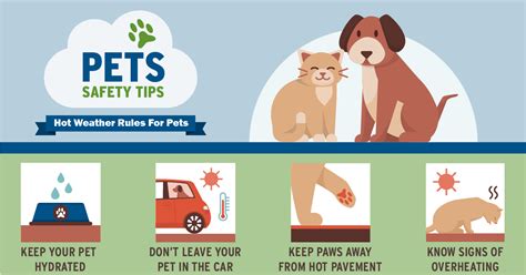 Pet Safety Graphics