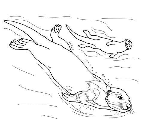 26 Best Ideas For Coloring Sea Otter Coloring Page