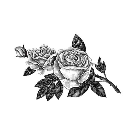 Set von floralen kalligraphische elemente. Hand drawn rose isolated on white background Vector | Premium Download