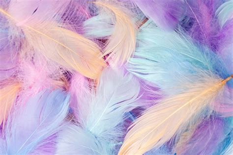 Premium Photo Pastel Colored Feathers