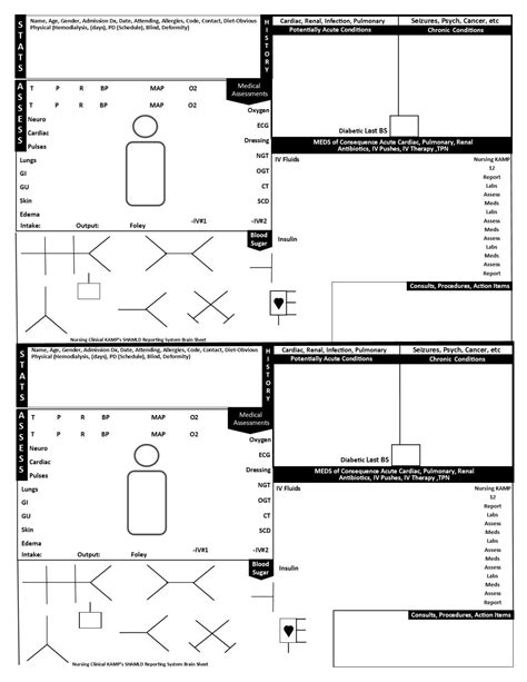 A nurse's brain is a term for a piece of paper, or several pieces of paper, that we use to capture really important patient information to keep us organized. Nursing Clinical KAMP Nursing Brain Report Sheet NCLEX ...