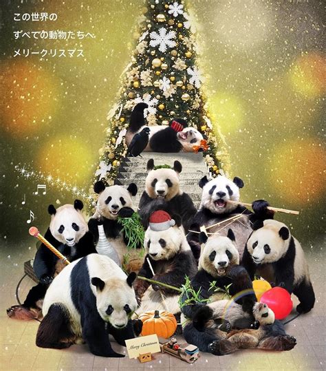 Thepandaworks On Twitter Merry Christmas Everyone 🐼🎀🎄 Pandas Panda