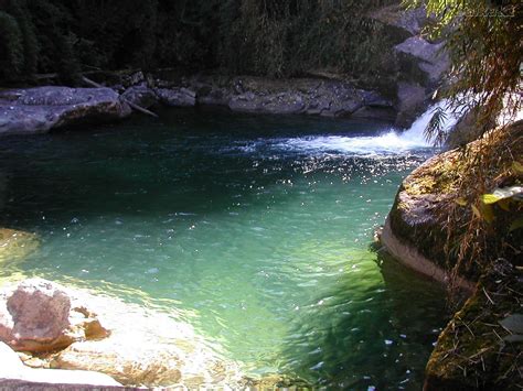 Busbud helps you find a bus from itatiaia to cachoeira paulista. Parque Nacional de Itatiaia - Serra da Mantiqueira - Rio ...