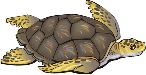 Sea Turtle Clipart Clipart Suggest
