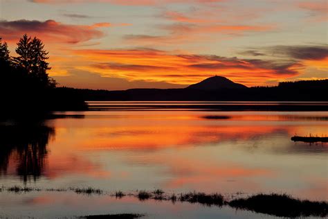 Sunset On Lake Quinault Washington By Danita Delimont
