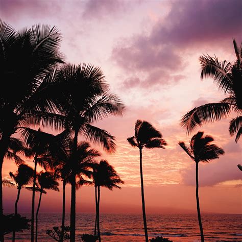 5 Amazing Places To Watch The Sunset In Maui Hawaii
