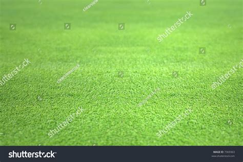 Perfect Flat Grass From The Putting Green Stock Photo 7369363