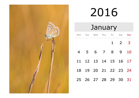 Calendar - January 2016 (English) Free Stock Photo - Public Domain Pictures