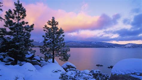배경 화면 햇빛 경치 언덕 호수 자연 반사 하늘 눈 겨울 분기 해돋이 고요한 얼음 저녁 아침