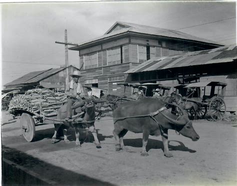 Carabao Drawn Wagon Angeles Pampanga Archival Photograph Flickr