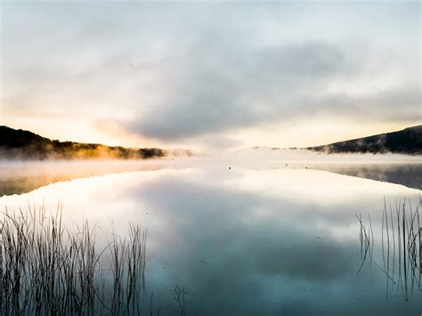 Sunlight Reeds Mist Lake Calm Pine Trees Nature Hd Wallpaper