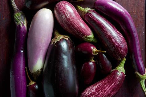 11 Types Of Eggplants