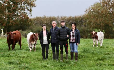 Beef Shorthorn In Ireland The Beef Shorthorn Cattle Society