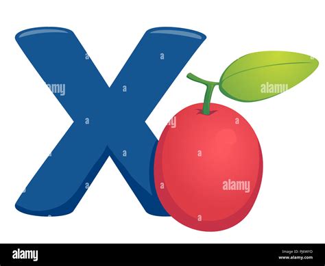 Ilustración De Frutas El Alfabeto Una Letra Azul X Y Un Ximenia