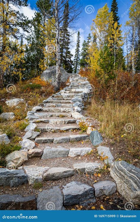 Outdoor Stair Made From Stone Inside Forest Stock Image Image Of