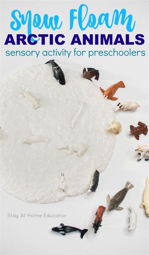 Slime Avalanche Preschool Arctic Animal Activity - Stay At Home