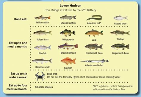 fish list - Hudson River Sloop Clearwater