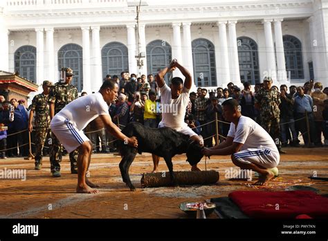 Kathmandu Nepal 18th Oct 2018 Nepalese Army Sacrifices A Goat As Offerings To Gods And