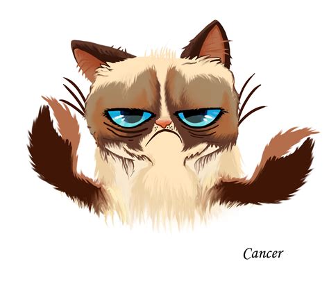 Grumpy Cat Kitten Cats And The Internet Cat Face Png Download 2480