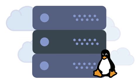 Shared Hosting Linux Server Hosting Services Pakistan