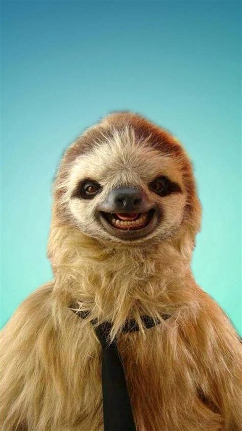 Sloth A Cute Sloth Phone Wallpaper I Made Smiling Sloth Smiling