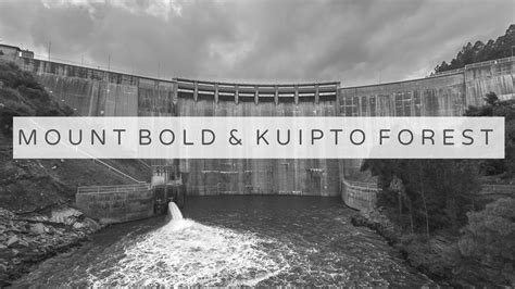 Photography Mount Bold And Kuitpo Forest Youtube