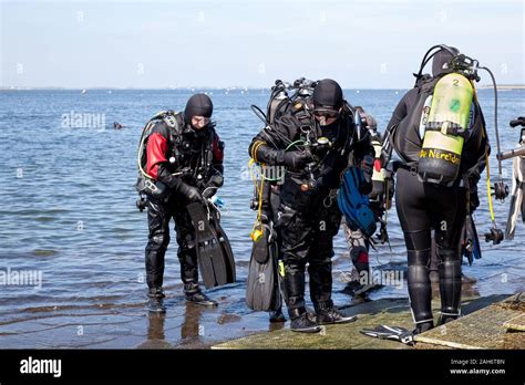 Group Of Scuba Divers Preparing For Scuba Diving With Wetsuit Tank And
