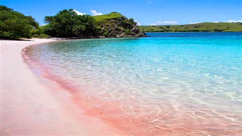 Pink Beach In Zamboanga Philippines