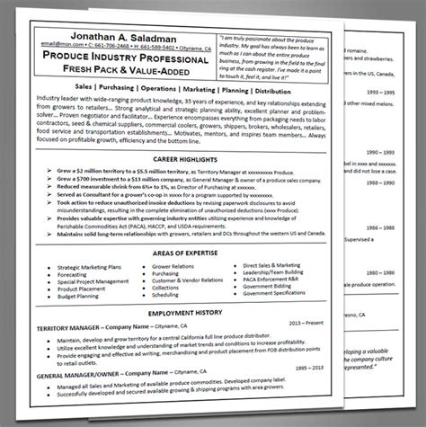 / 13+ printable professional resume samples. Experienced Professional Resume - Joe Pro Resumes