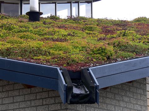 Green Roof Mandj Flat Roofing 3 Mandj Group Construction And Roofing