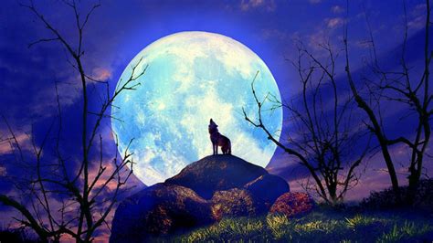 Wolf Nature Full Moon Yelp Wallpapers Hd Desktop And Mobile