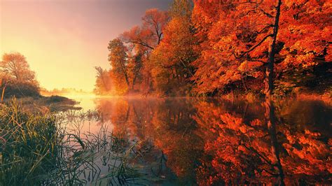 3840x2160 Trees Fall Reflection Autumn 4k 4k Hd 4k Wallpapers Images