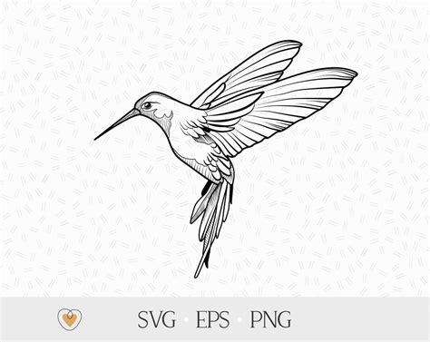 Hummingbird Svg Bird Flying Png Svg Files For Cricut Etsy