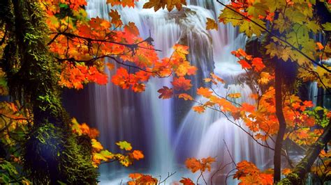 Autumn Waterfall Desktop Wallpapers Top Free Autumn Waterfall Desktop
