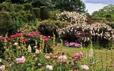 Mottisfont Abbey Rose Garden Hampshire Uk An Exceptional Romantic