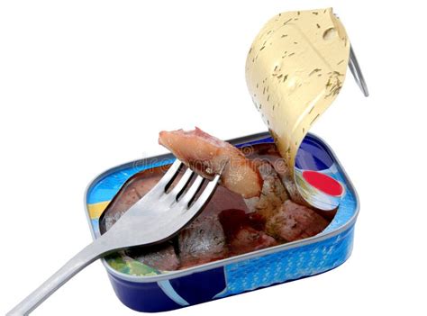 Fresh Cut Tuna Fish Stock Image Image Of Nutrition Fishtail 15697661