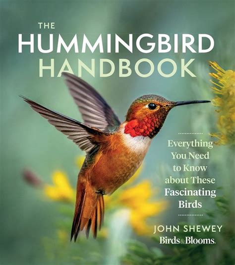 The 33 Best Hummingbird Ts For Any Occasion Birds And Blooms