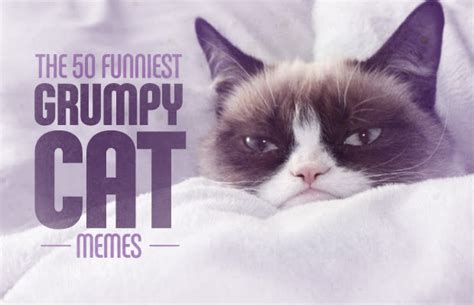 22 Happy And You Know It The 50 Funniest Grumpy Cat