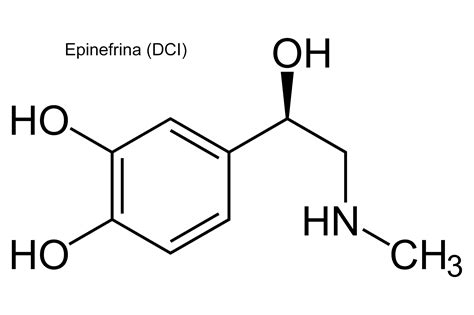 Adrenalina é O Mesmo Que Epinefrina