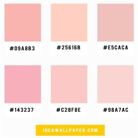 Brand Colour Schemes Pink Color Schemes Color Palette Pink Brand