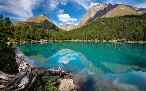 Saoseo Lake Blue Lake Mountains Summer Lakes Of Switzerland
