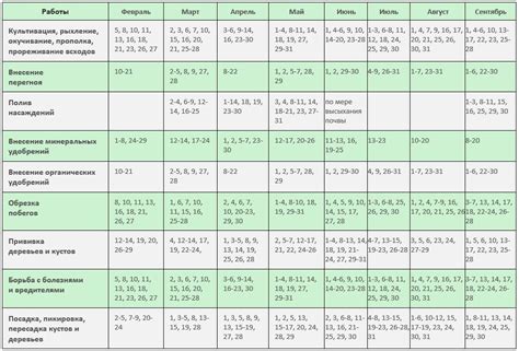 Лунный Календарь На Октябрь 2023 Стрижек Астросфера