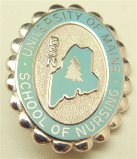 University Of Maine Bsn Pin Hospital Pins University Of Maine